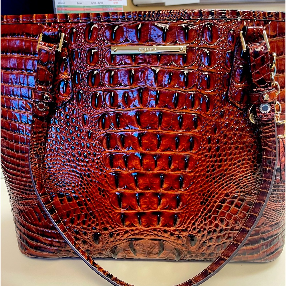 Brahmin bag with wallet. Snap on the wallet needs mending.